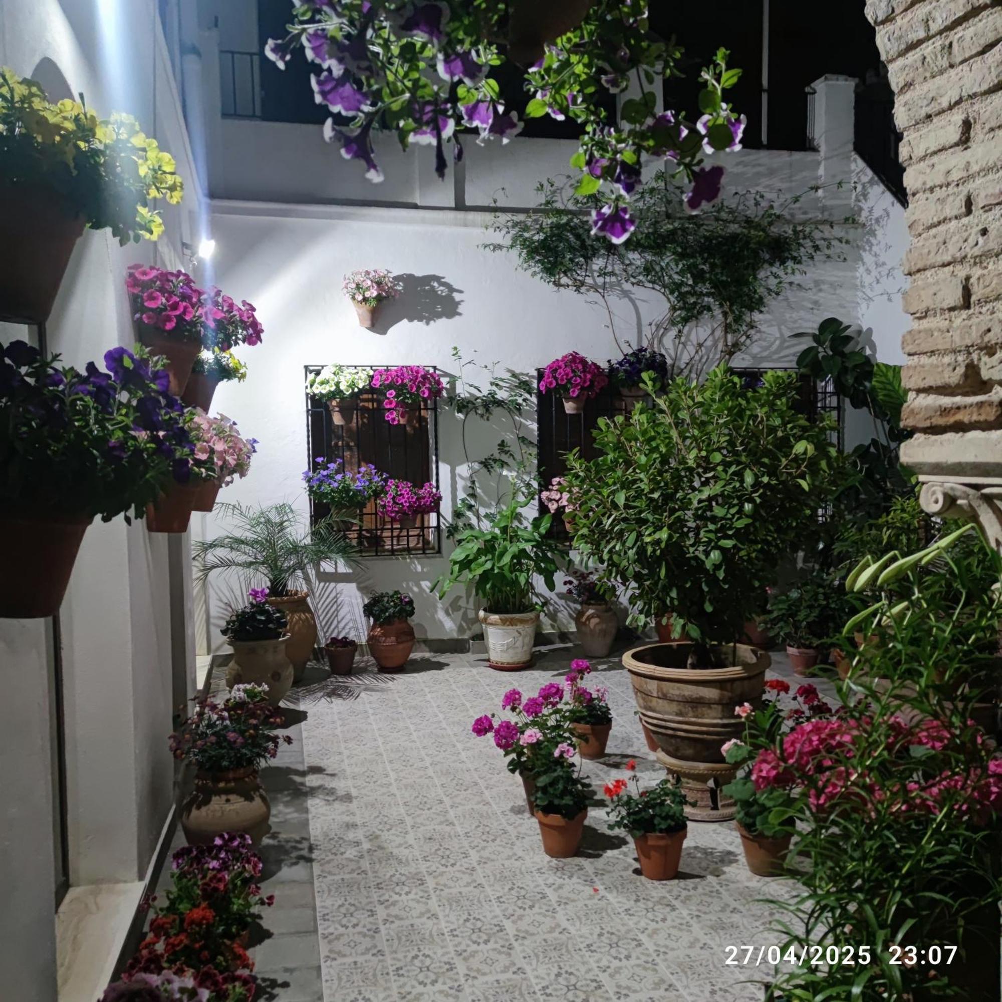Appartamento El Patio De Regina Cordova Esterno foto