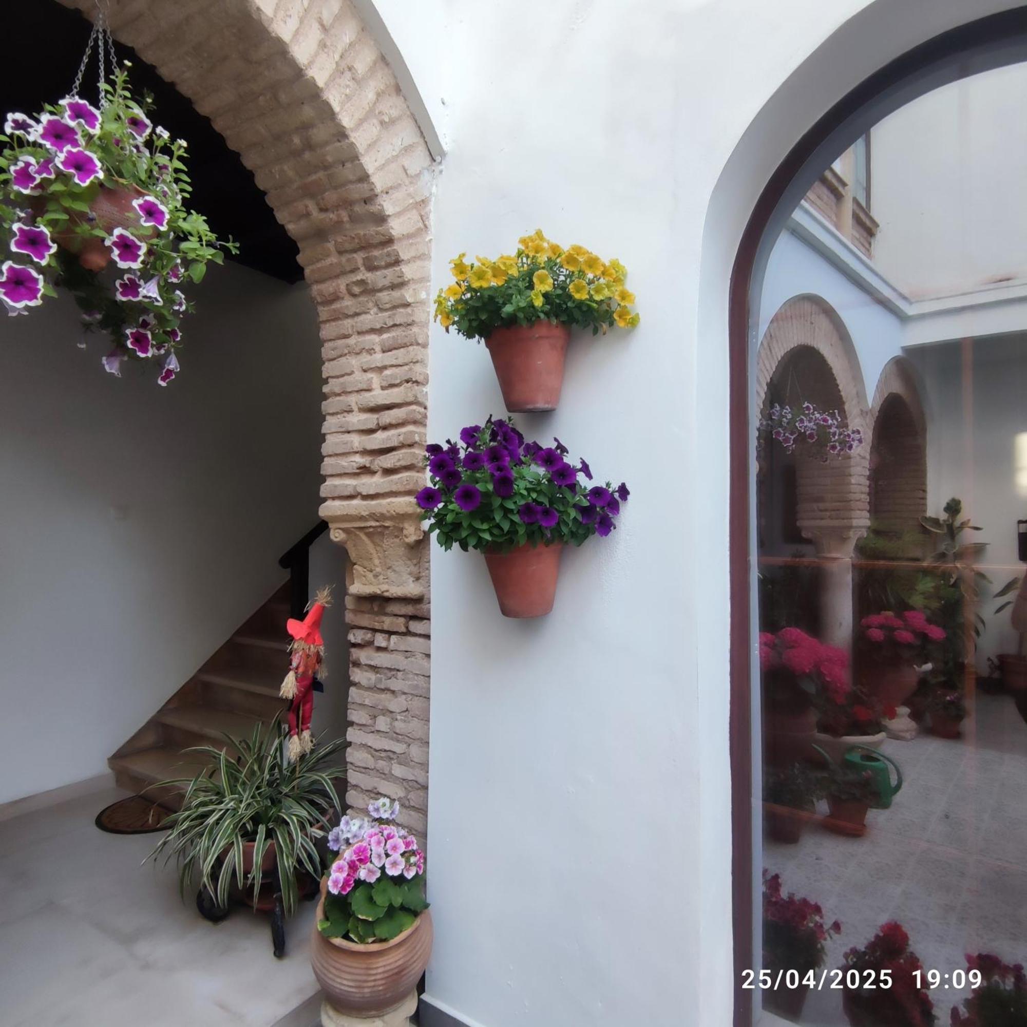 Appartamento El Patio De Regina Cordova Esterno foto