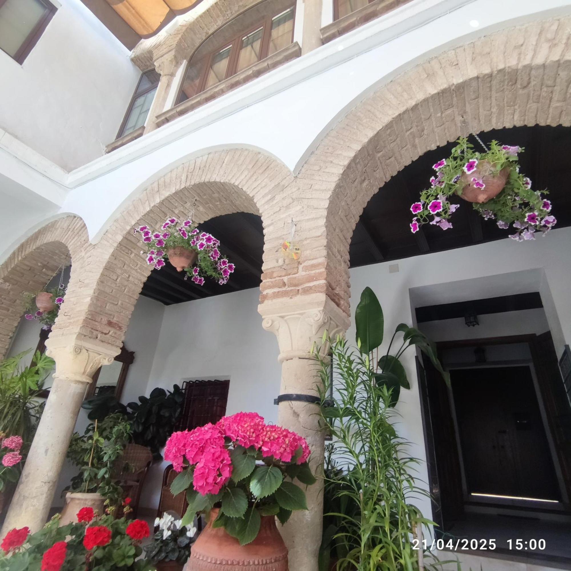Appartamento El Patio De Regina Cordova Esterno foto
